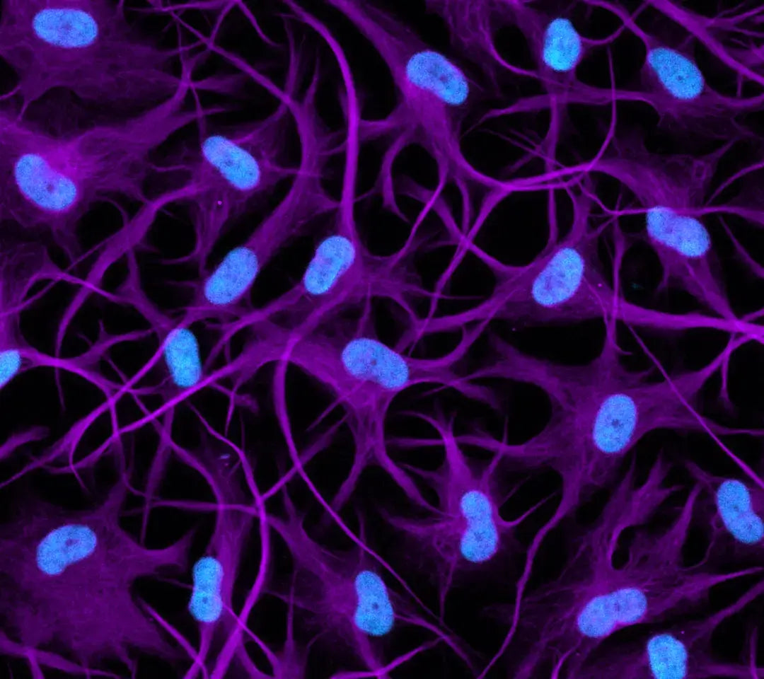 ioAstrocytes 2.0